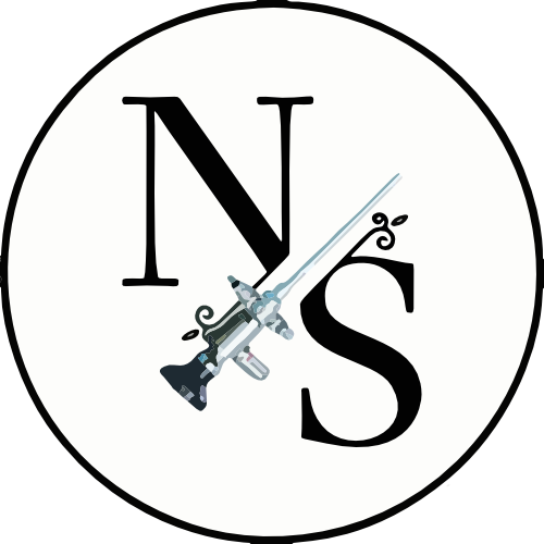 Logo NS